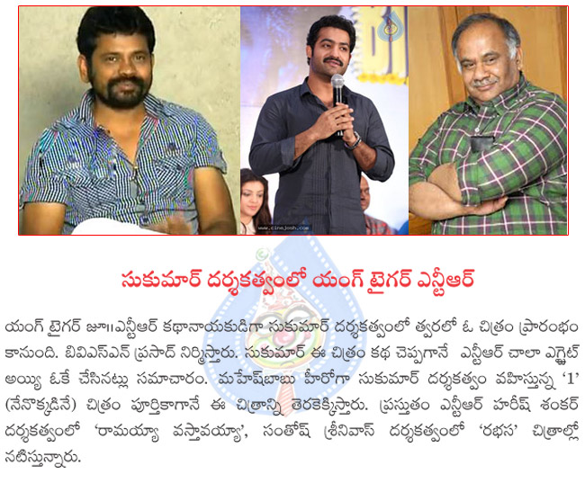 ntr in sukumars direction,ntr new movie,ntr and sukumar combination movie,ntr in bvsn production,ntr in sukumar’s direction,ntr,sukumar movie details,ntr in sukumar’s direction  ntr in sukumars direction, ntr new movie, ntr and sukumar combination movie, ntr in bvsn production, ntr in sukumar’s direction, ntr, sukumar movie details, ntr in sukumar’s direction